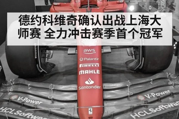 德约科维奇确认出战上海大师赛 全力冲击赛季首个冠军